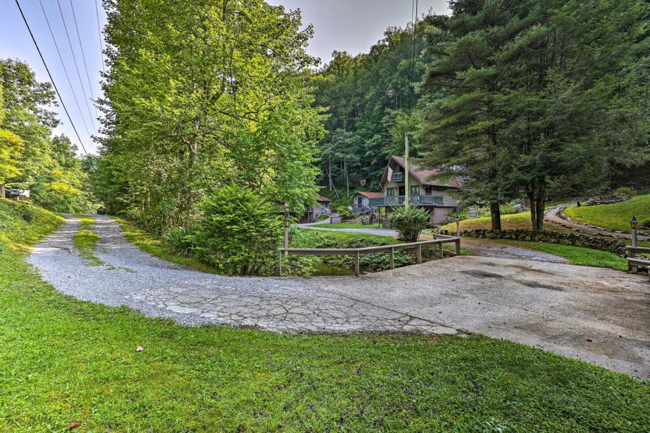 Creekside Roan Mountain Cabin Walk To Trails Exterior photo