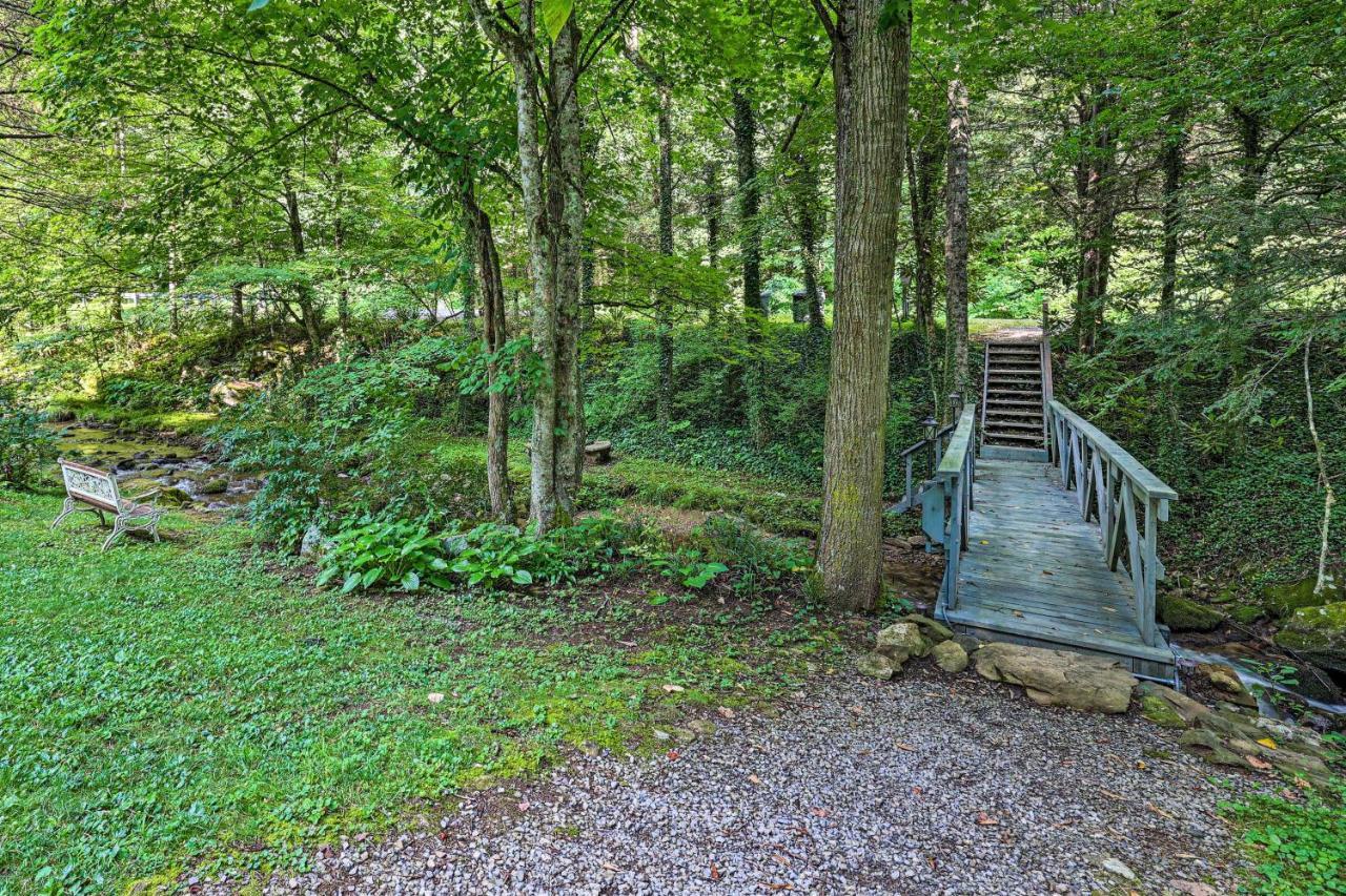 Creekside Roan Mountain Cabin Walk To Trails Exterior photo