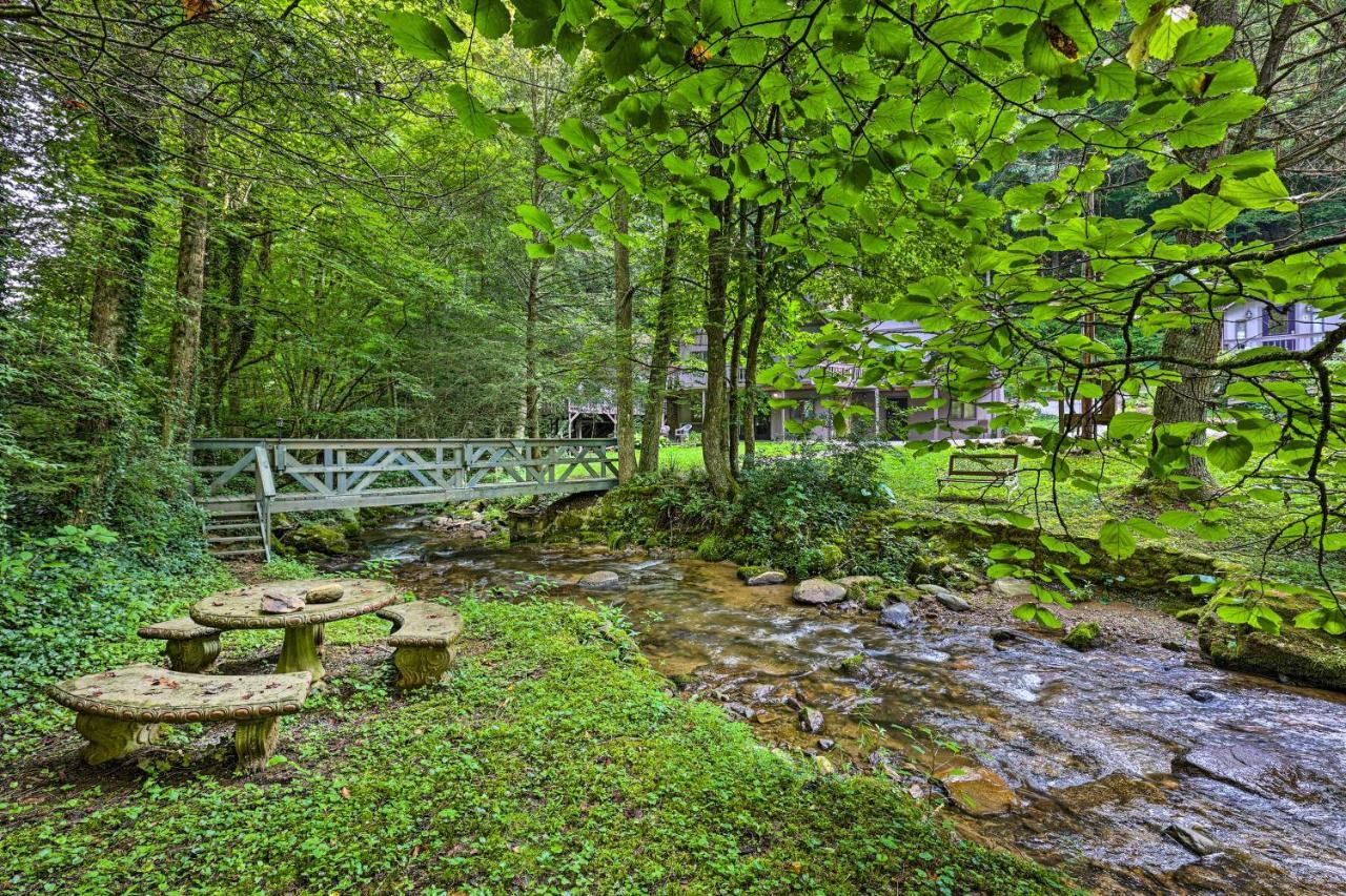 Creekside Roan Mountain Cabin Walk To Trails Exterior photo