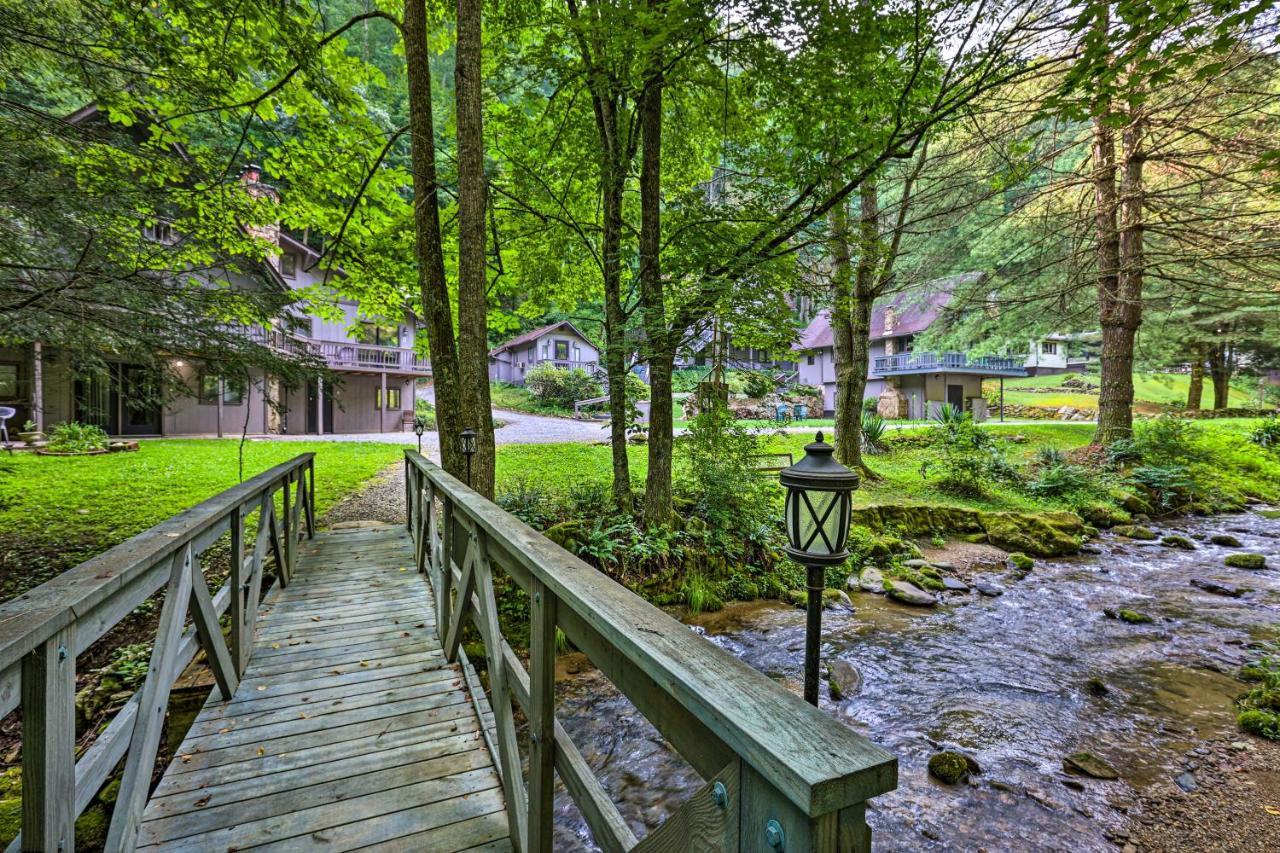 Creekside Roan Mountain Cabin Walk To Trails Exterior photo